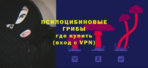 мдпв Нижневартовск