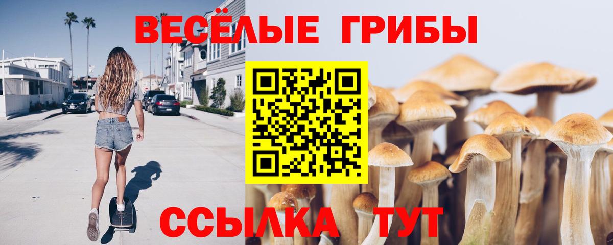 Псилоцибиновые грибы мухоморы Нововоронеж