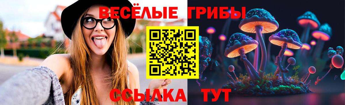 Нововоронеж  Псилоцибиновые грибы MAGIC MUSHROOMS  Галлюциногенные грибы Psilocybe  Вход с VPN 